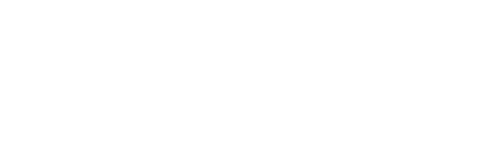 Seyfor